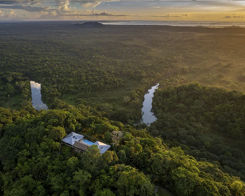 Aerialview-CopalTree-BR_Gallery