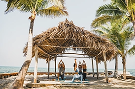 Beachside_Yoga_palapa-TC-BR_Venues