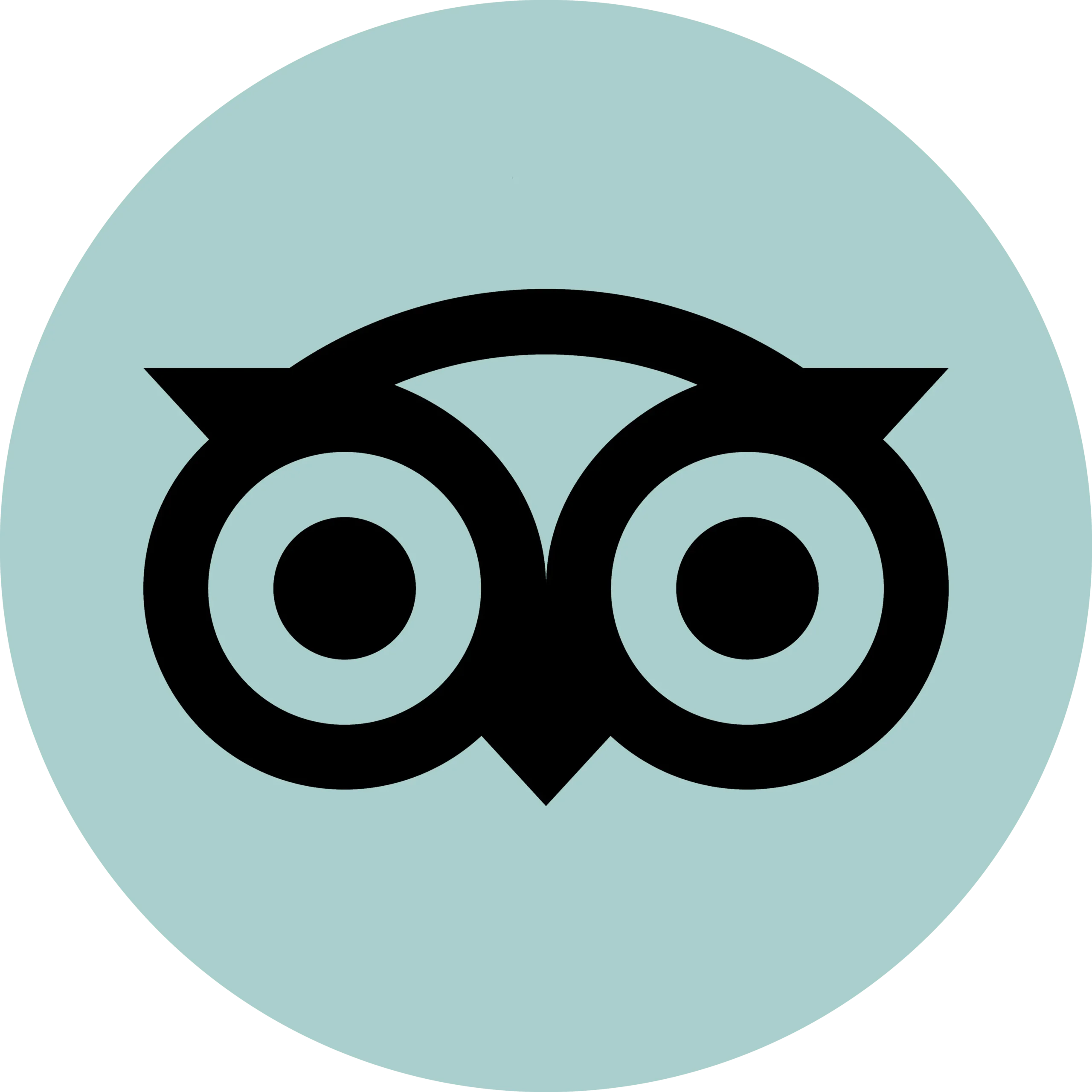 tripadvisor-logo